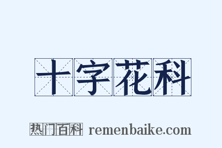 十字花科是什么意思的图片